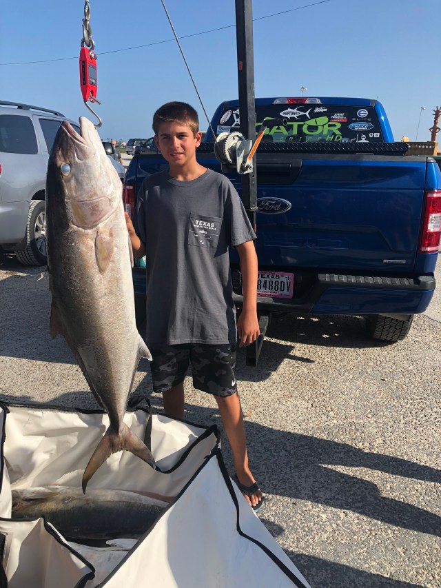 Top DiveR Mentor Award 