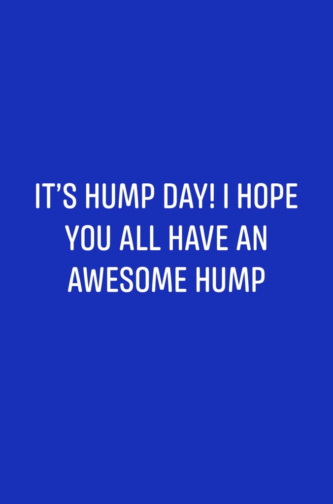 HumpDay Funny 😄 